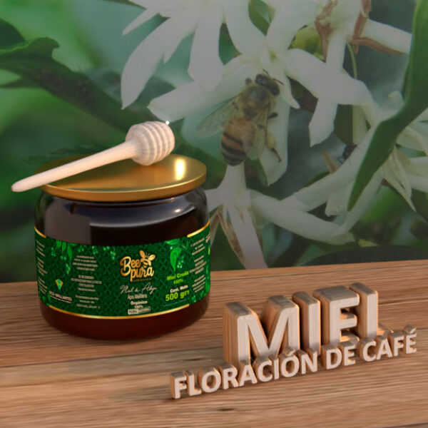 miel floración de café